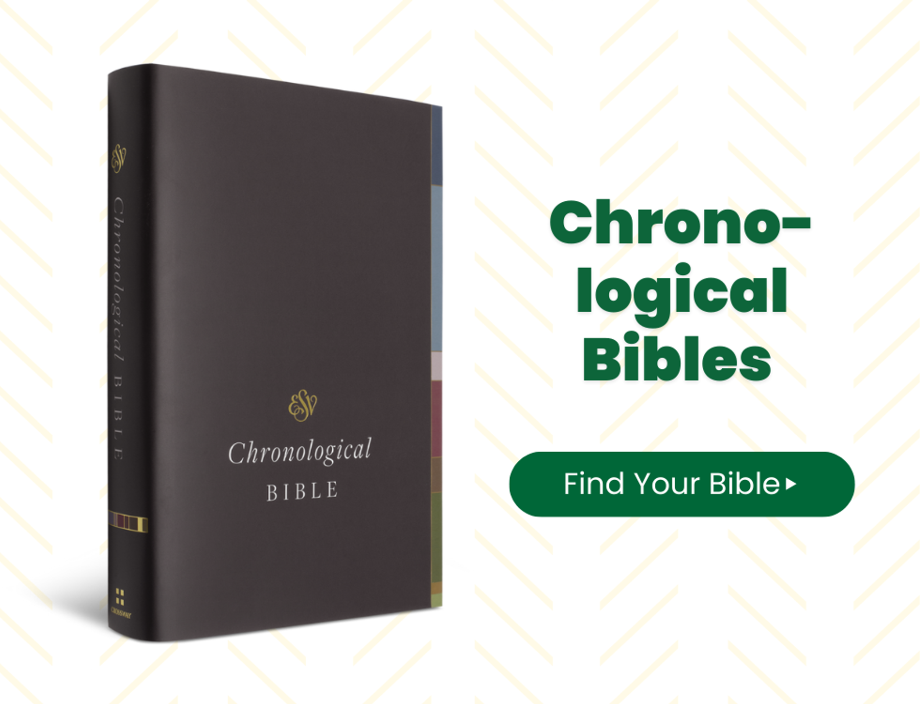 🔗 Shop Chronological Bibles