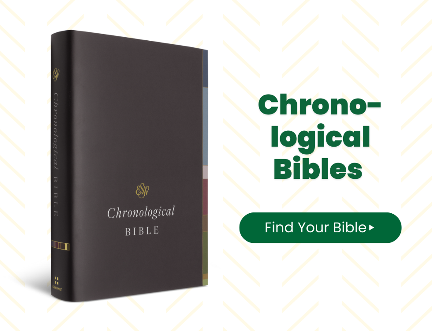 🔗 Shop Chronological Bibles