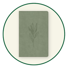 CSB Thinline Bibles