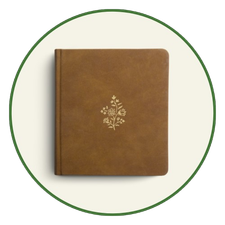 Journaling Study Bibles