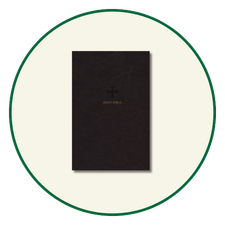 NRSV Large Print