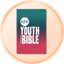 NIV Youth Bibles