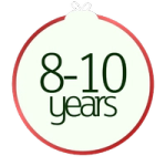 Age 8-10 Christmas Books