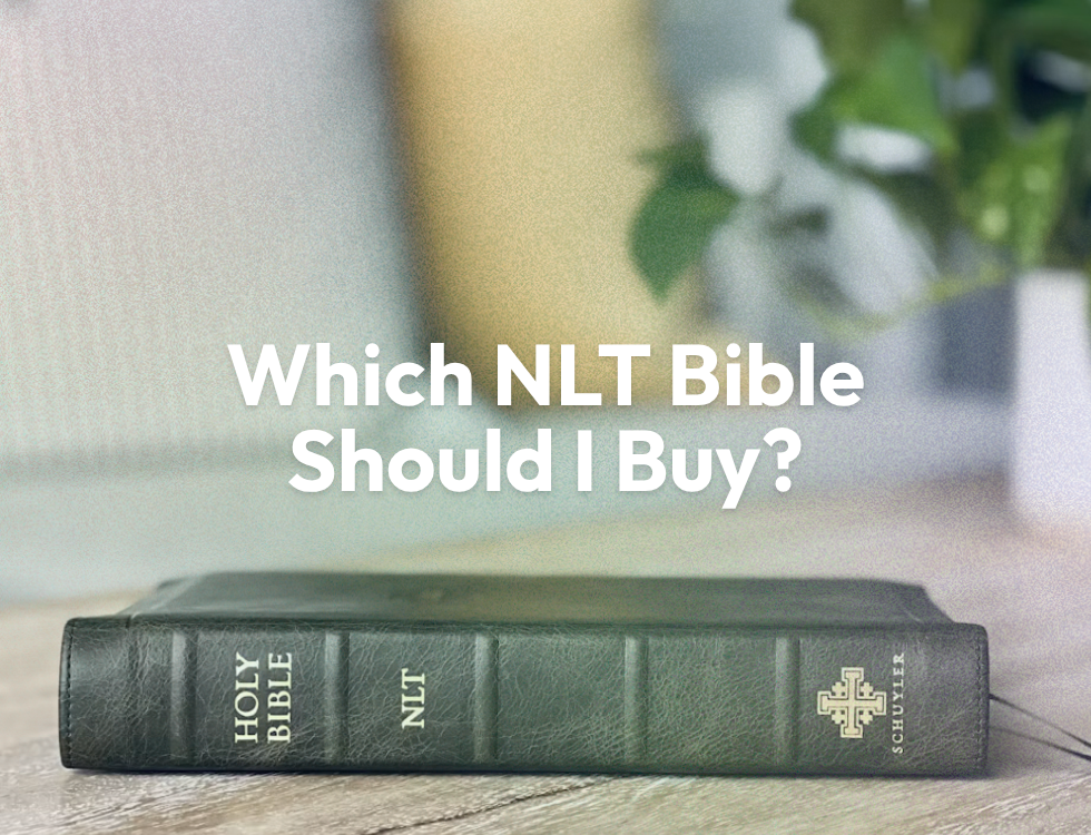 Which NLT Bible Should I Buy? A UK Guide