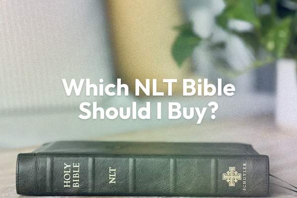 Which NLT Bible Should I Buy? A UK Guide