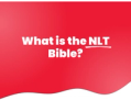 What is the New Living Translation (NLT) Bible?