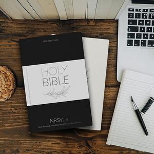 NRSVue Holy Bible:  New Revised Standard Version Updated Edition