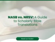 NASB vs. NRSV: A Guide to Scholarly Bible Translations