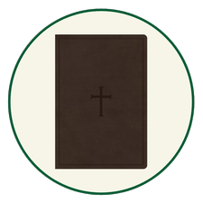 CSB Large Print Bibles