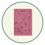 Choose the NLT Bible ▸