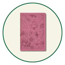 Choose the NLT Bible ▸