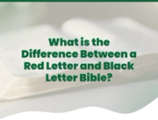 What Is the Difference Between a Red Letter and Black Letter Bible?
