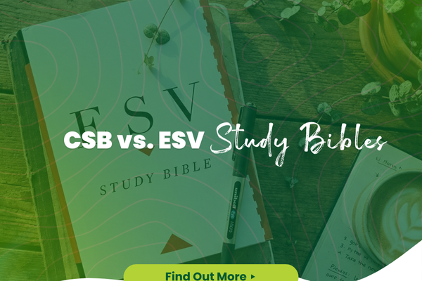 CSB vs. ESV Study Bible: Which is Better for Your Daily Study? Bible Buying Guide for Study Bibles