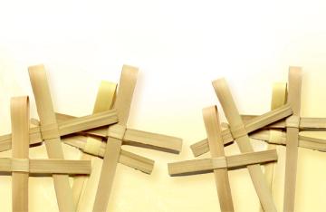 Palm Crosses