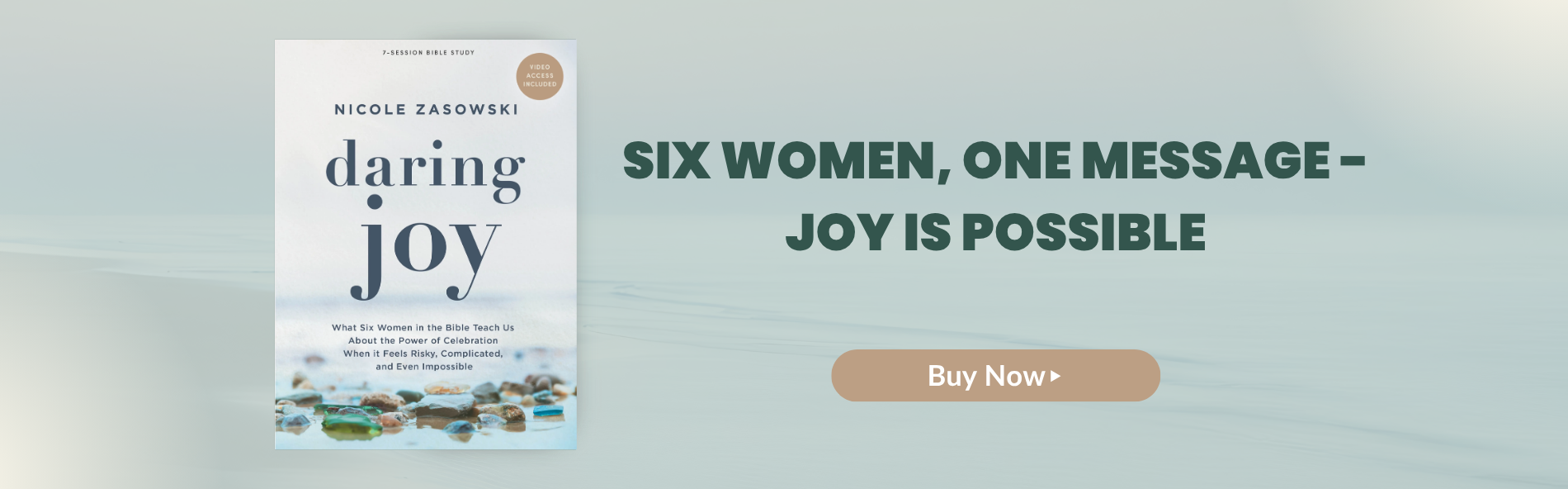 Daring Joy by Nicole Zasowski