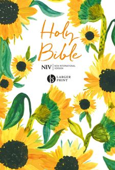 NIV Bible
