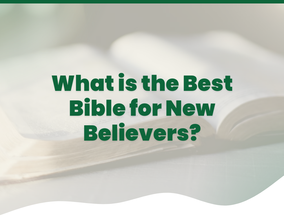 What is the Best Bible for New Believers?