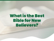 The 5 Best Bibles for New Believers