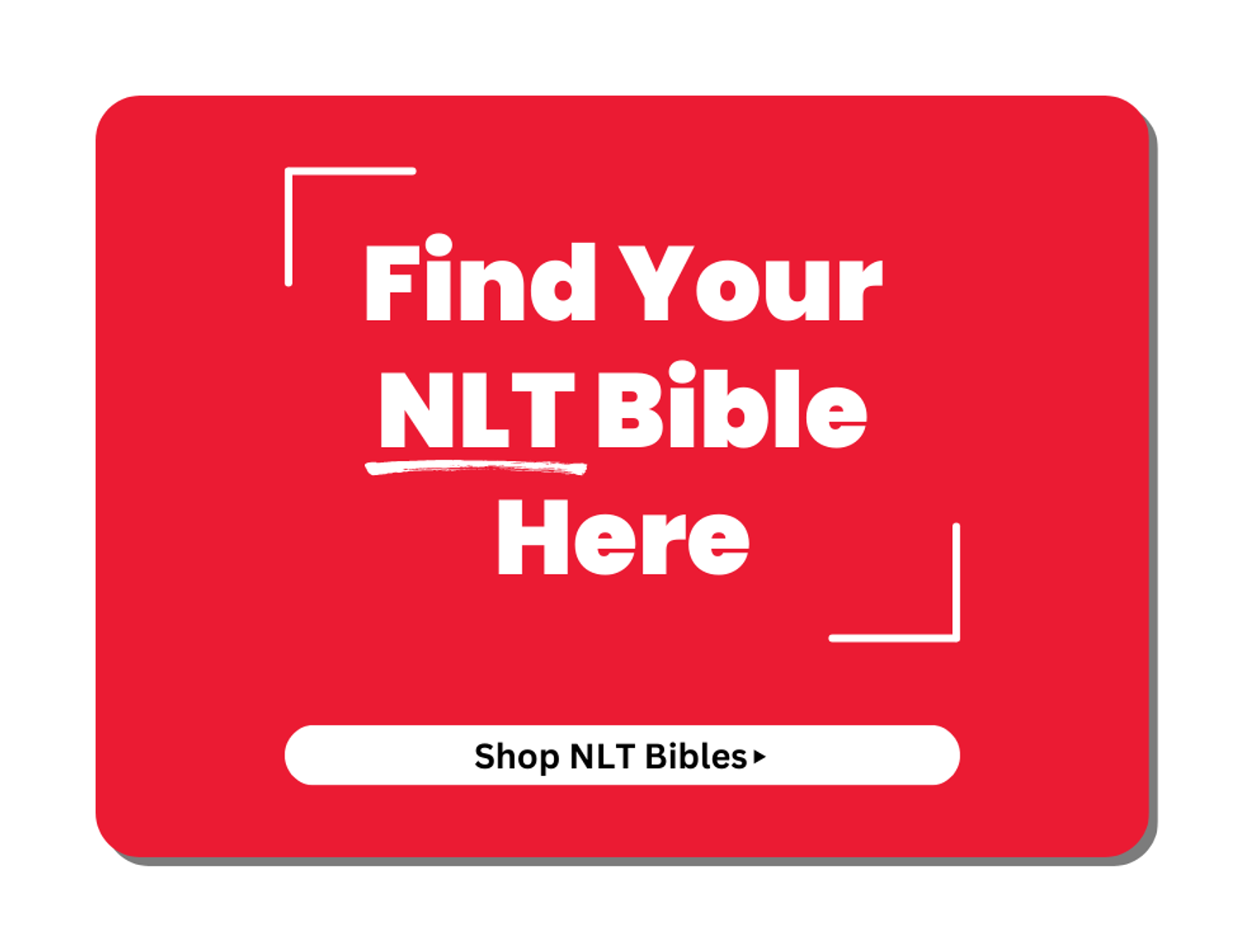Buy NLT Bibles Today