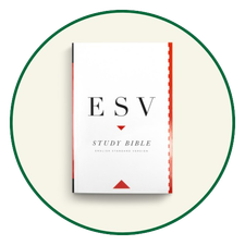 ESV Study BIbles