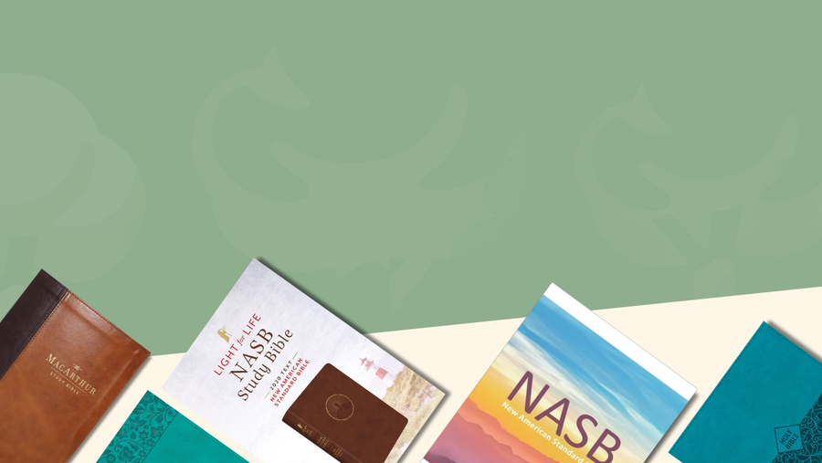 New American Standard Bibles (NASB)