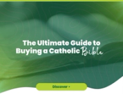 The Ultimate Guide to Buying a Catholic Bible (2026 Edition)