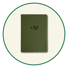 CSB Large Print Bibles