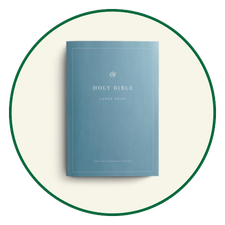 ESV Large Print Bibles