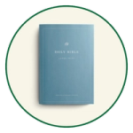 ESV Large Print Bibles