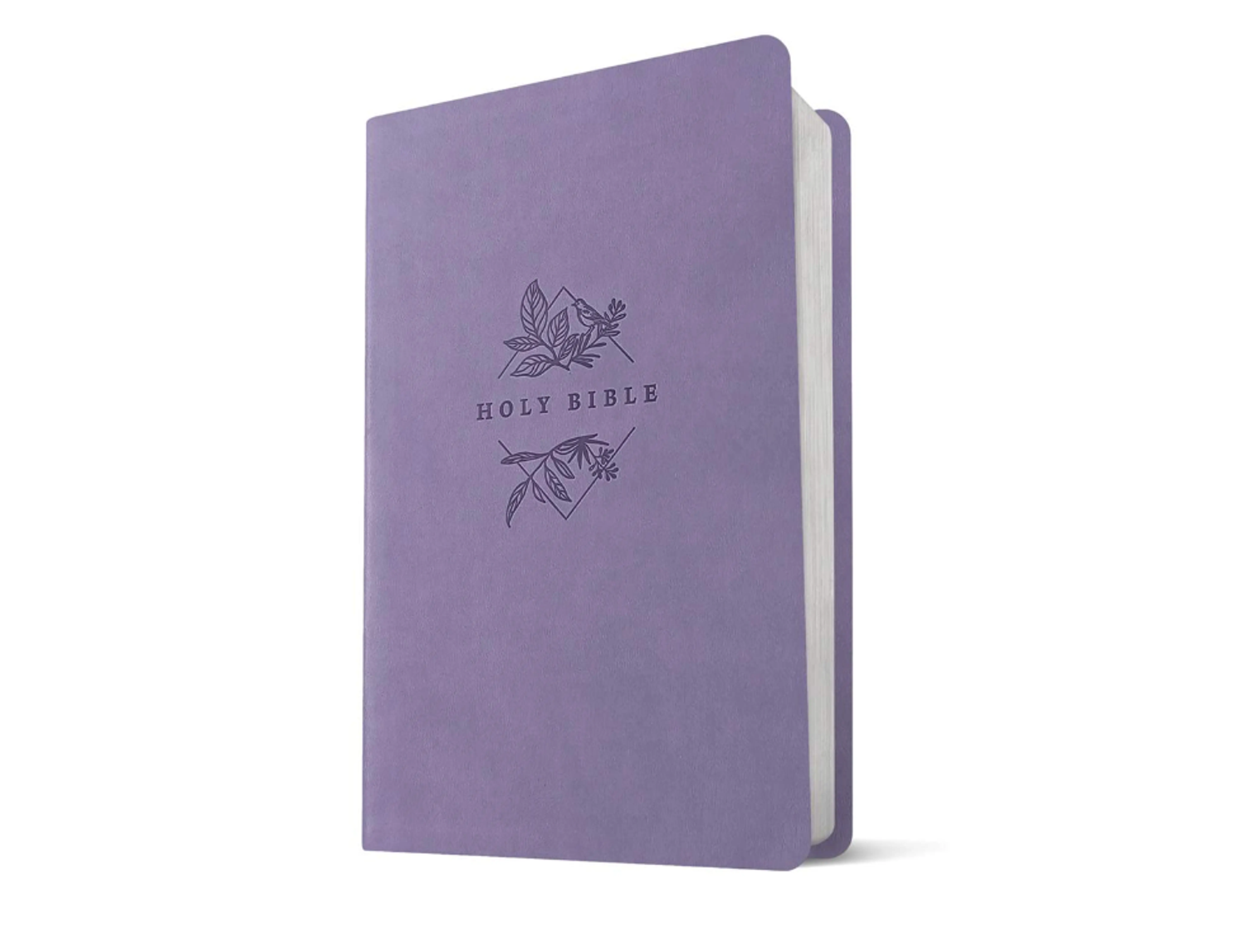 NLT Thinline Large Print Bible