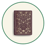 Choose the ESV Bible ▸