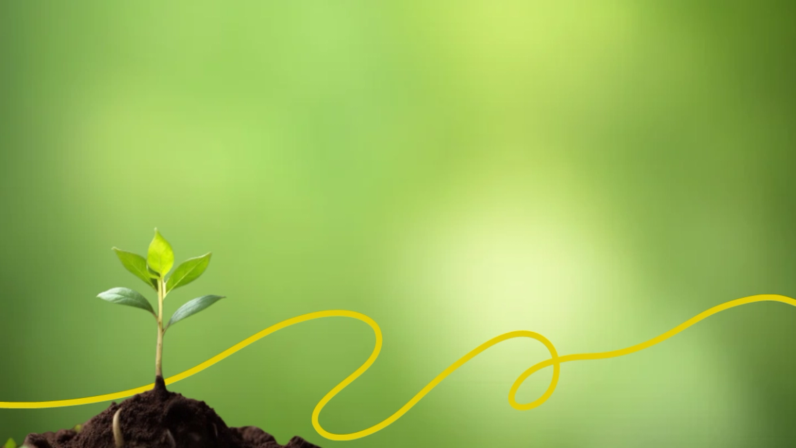 Growing in Faith