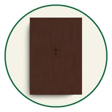 NIV Thinline Bibles