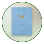 Understand the Bible with a Study Edition