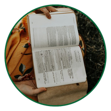Bibles for Women