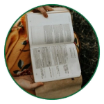 5 Best Bibles for Women