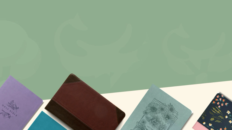 Thinline and Slimline Bibles