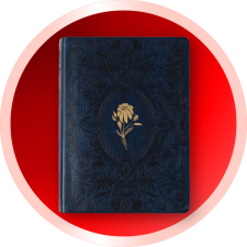 Journaling Bibles