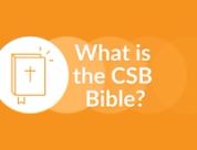 What is the Christian Standard Bible (CSB)?