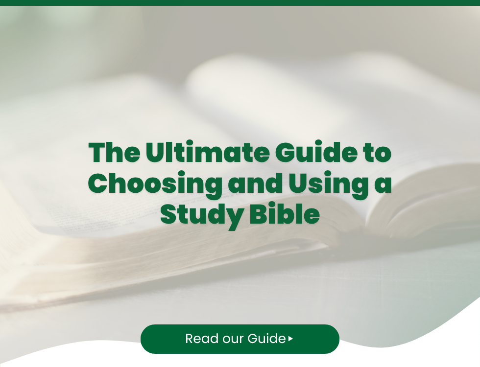 The Ultimate Guide to Choosing and Using a Study Bible