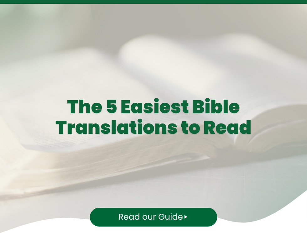 The 5 Easiest Bibles to Read and Understand (A Beginner's Guide)