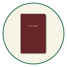 CSB Gift Bibles