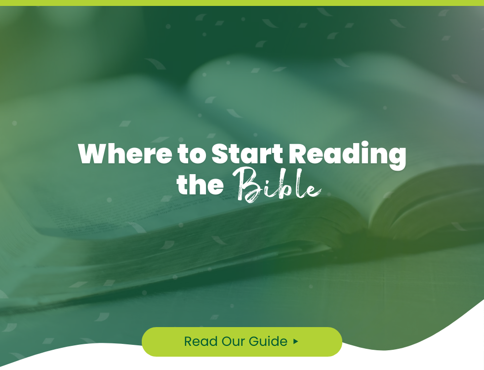 Where to Start Reading the Bible (5 Great Books for Beginners)