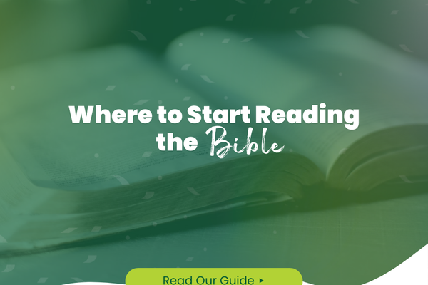 Where to Start Reading the Bible (5 Great Books for Beginners)