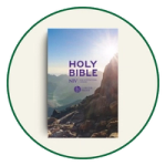 Large Print NIV Bibles