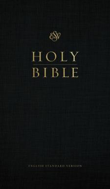ESV Bibles for Sale