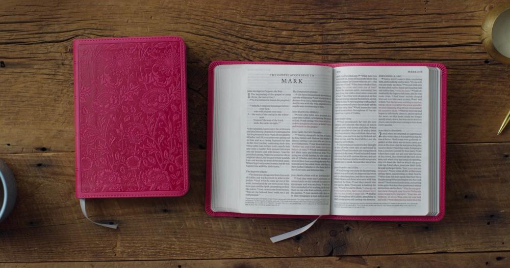 ESV Large Print Compact Bible, Red Letter (TruTone, Berry, Floral Design)