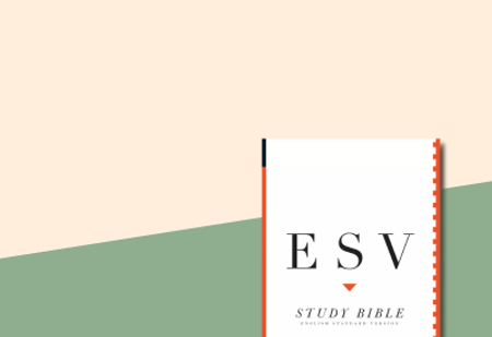 ESV Study Bibles