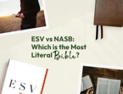 ESV vs. NASB: Which is the Most Literal Bible Translation?