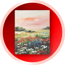 Beautiful Bibles